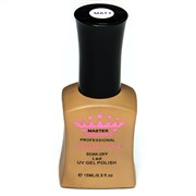 Топ матовый, Matt Top SOAK-OFF 15 мл.  Master Professional мфп1